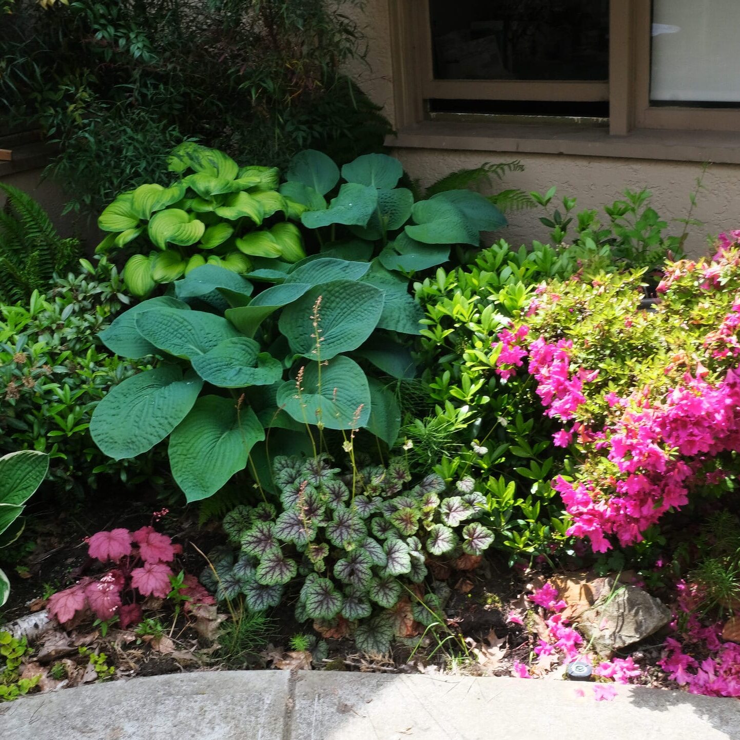 From the Ground Up: Accessible Gardening with DIGA